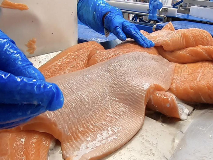 Shallow skinning salmon